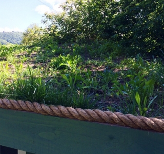 The Cricket Pavilion Amazing Spaces