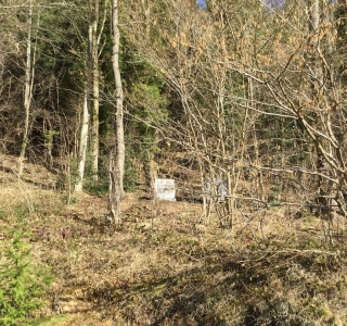 Castle before starting