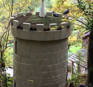 Castle – sedum roof and ravens